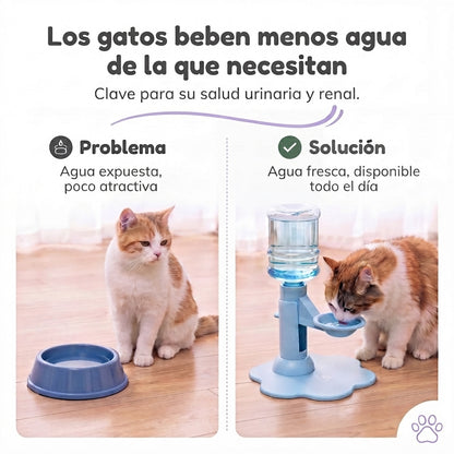 Dispensador de agua para gatos y razas pequeñas de perros