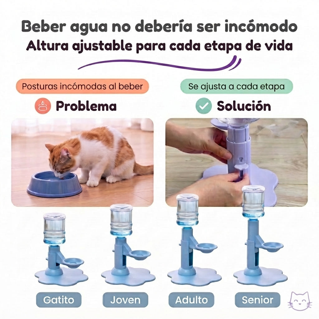 Dispensador de agua para gatos y razas pequeñas de perros