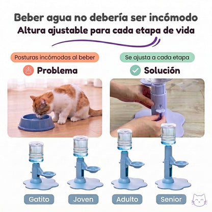 Dispensador de agua para gatos y razas pequeñas de perros